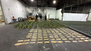 DNCD interviene carga de piñas con 121 láminas de presunta cocaína; arresta un hombre